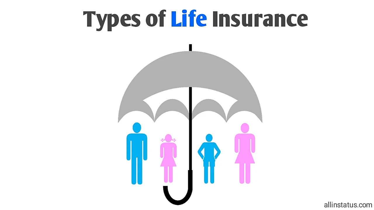 Types of Life Insurance In english