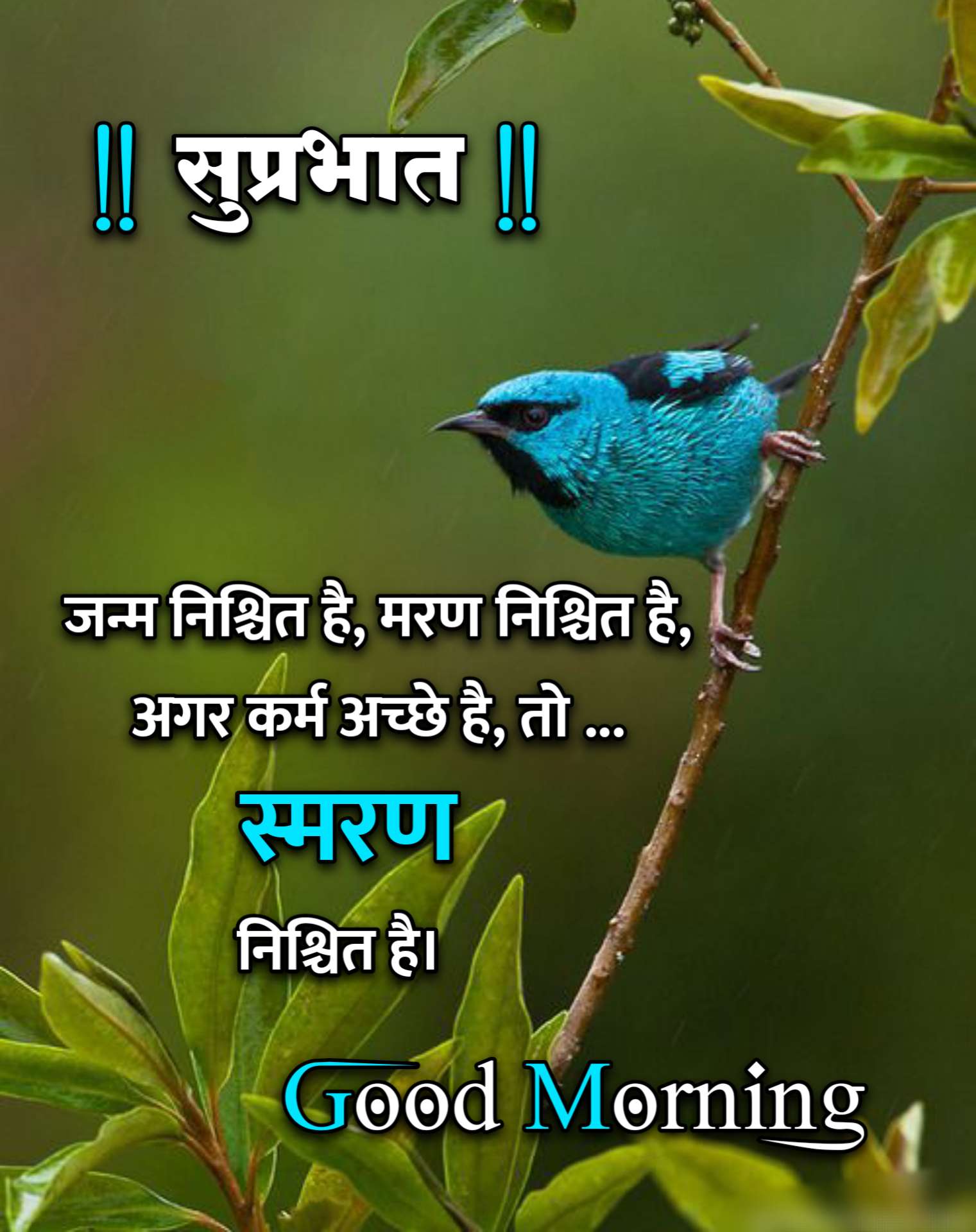 Good Morning Hindi Message ()