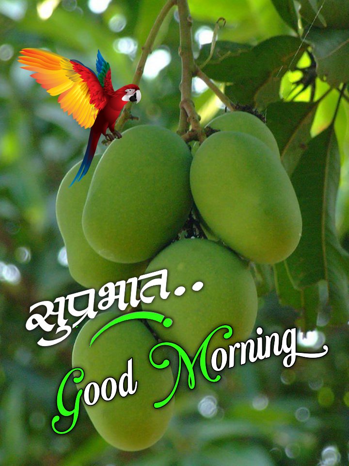 Good Morning Hindi Wishes ()