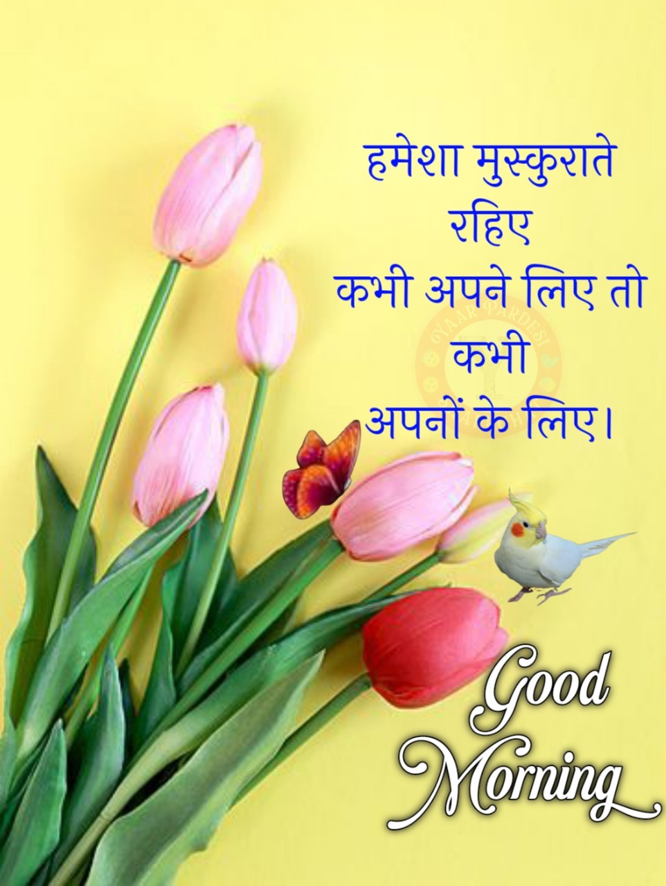 Happy Good Morning Hindi ()